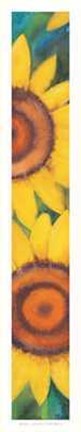 Framed Girasoli Print