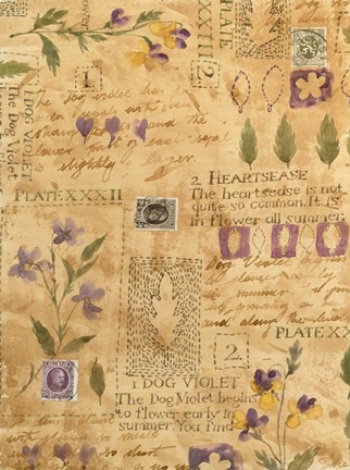 Framed Flower Collage 3 Print