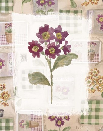Framed Purple Flower 2 Print