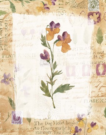 Framed Dog Violet Print