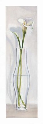 Framed Vaso con Calla Print