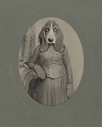 Framed Bloodhound Print