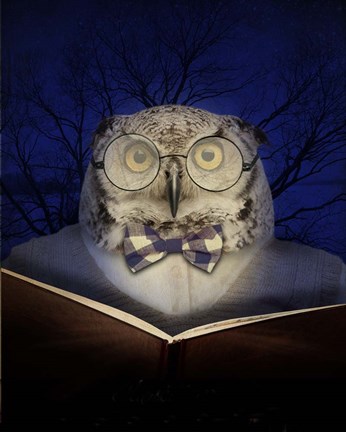 Framed Book Owl Print