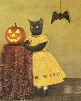Framed Pumpkin And Cat Print