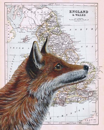 Framed British Fox Print