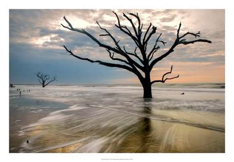 Framed Hangin On Print