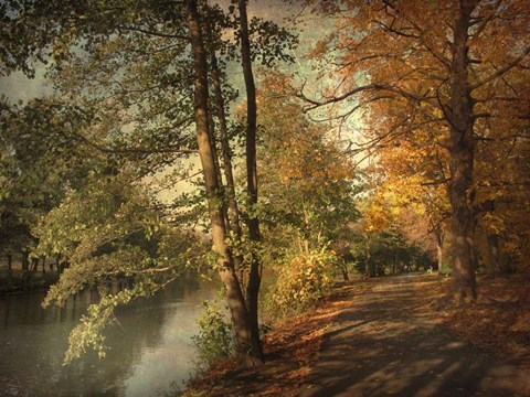 Framed Artful Autumn Print