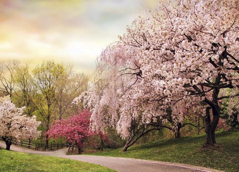 Framed Asian Cherry Grove Print