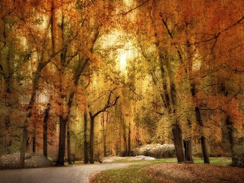 Framed Autumn Impressions Print