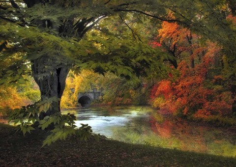 Framed Autumn Reverie Print