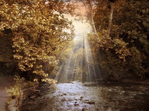 Framed Autumn River Light Print