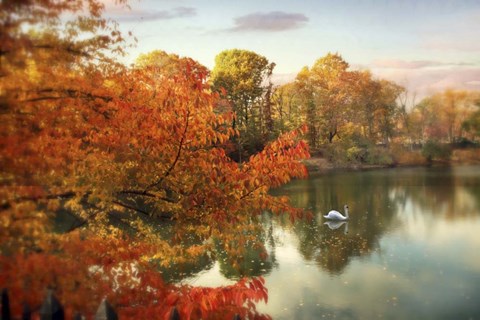 Framed Autumn Splendor Print