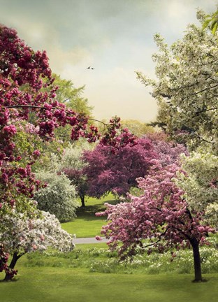 Framed Cherry Tree Grove Print
