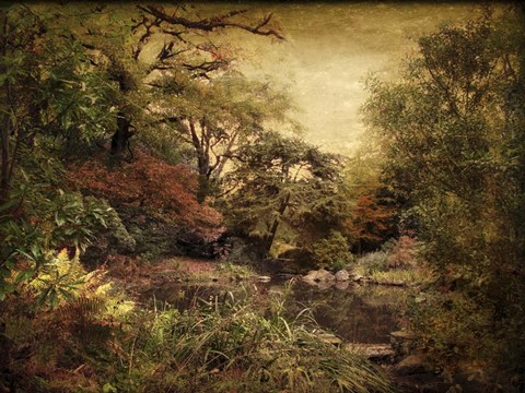 Framed Autumn On Canvas Print