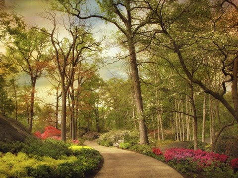 Framed Azalea Garden Print