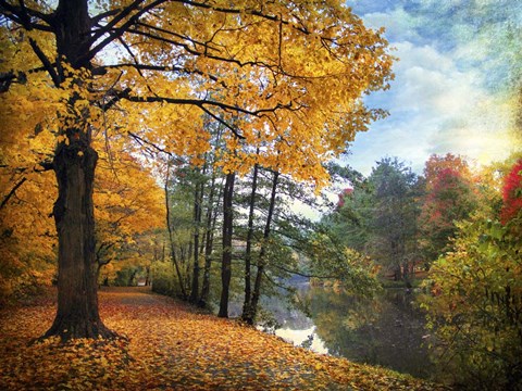 Framed Golden Carpet Print