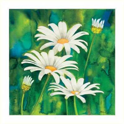 Framed Composizione di Margherite Print