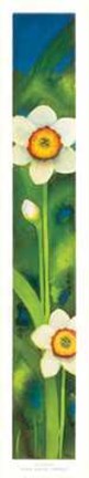 Framed Narcisi in Fiore Print