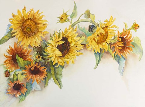 Framed Arch of Sunflowers Print
