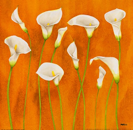 Framed Calle Danzanti Print