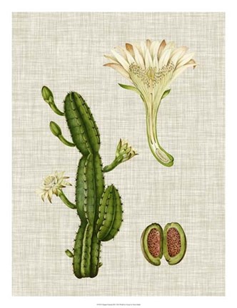 Framed Elegant Tropicals III Print