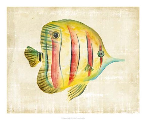 Framed Aquarium Fish III Print