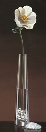 Framed Anemone Haiku Print