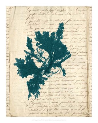 Framed Vintage Teal Seaweed IV Print