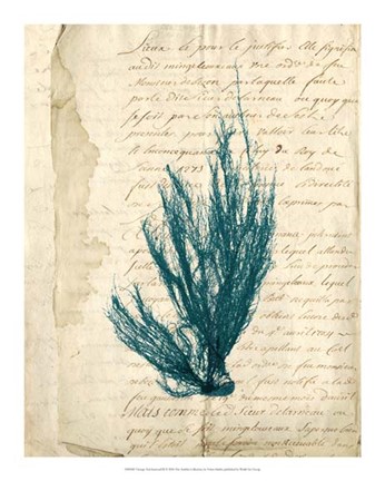 Framed Vintage Teal Seaweed IX Print
