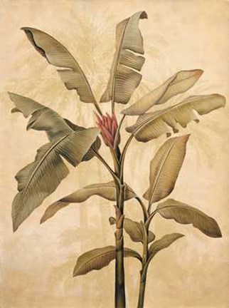 Framed Palms of the Tropics I Print