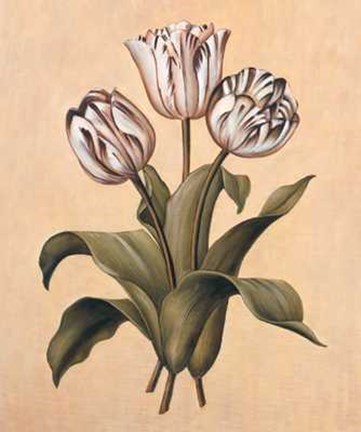 Framed Tulips II Print