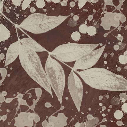 Framed Botany Expressions III Print