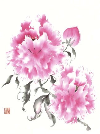 Framed Peonie Blossoms I Print