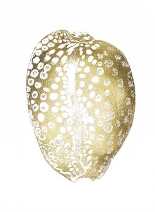 Framed Gold Foil Shell II Print