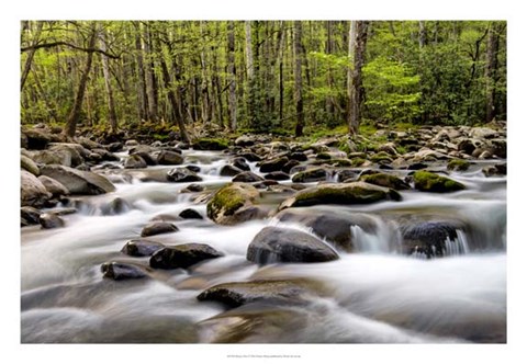 Framed Rocky Flow Print