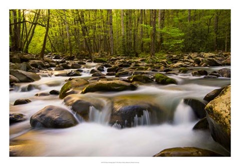 Framed Warm Morning Light Print
