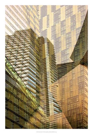 Framed Double Take VI Print