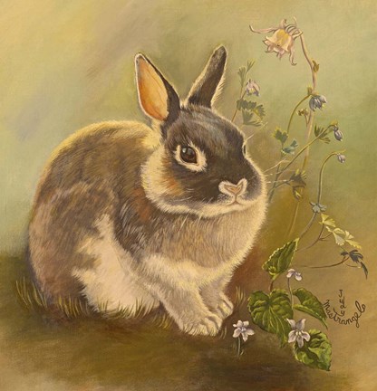 Framed Rabbit In Columbine Print