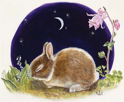 Framed Sleeping Bunny Print