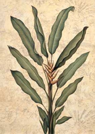 Framed Palms of the Tropics IV Print