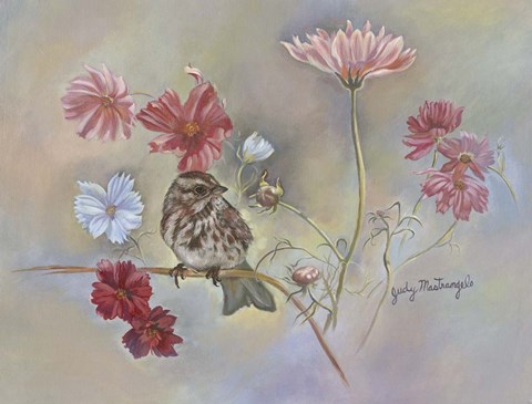 Framed Sparrow In Cosmos Flowers Print