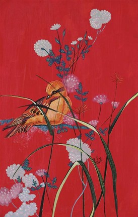 Framed Bird On Red Print