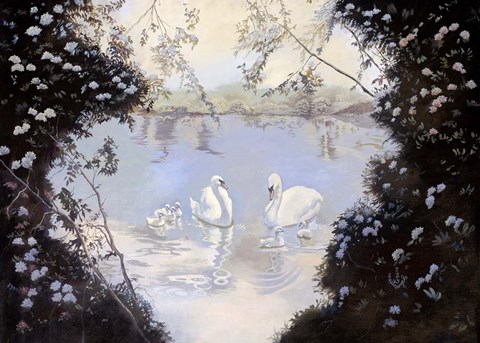 Framed Swan Lake Print