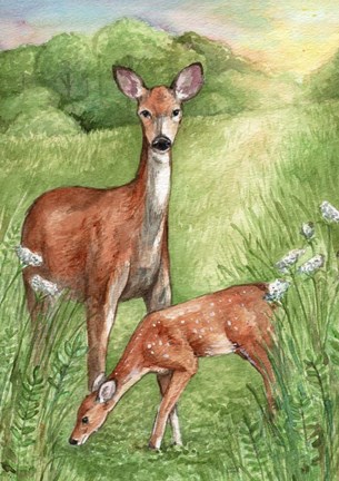 Framed New Mother and Fawn Print