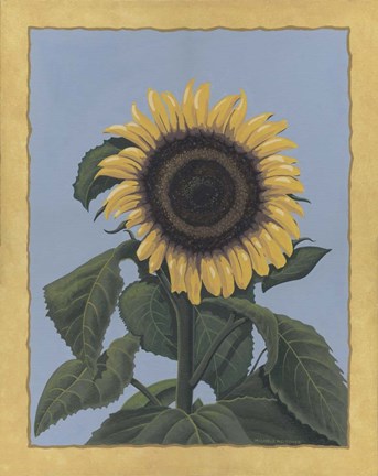 Framed Apple Sunflower Print