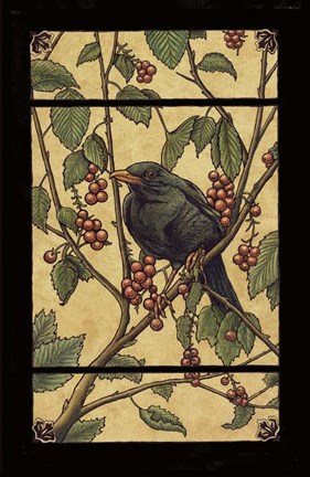 Framed Apple Raven Print