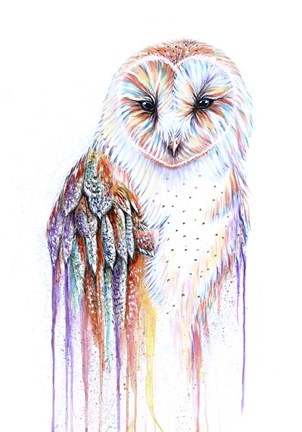 Framed Barred Rainbow Owl Print