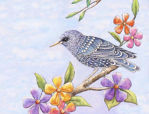 Framed Starling Bird with Flowers Print