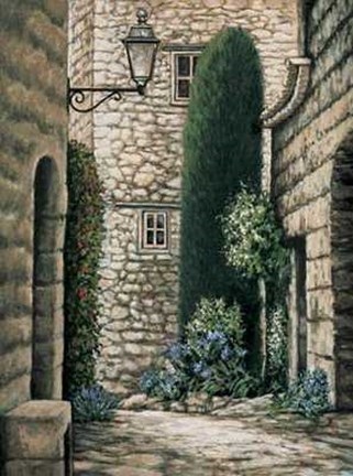 Framed Coin Pictoresque I Print