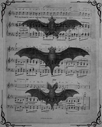 Framed Vintage Bats 1 Print